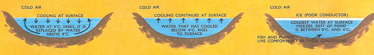 How a pond freezes over