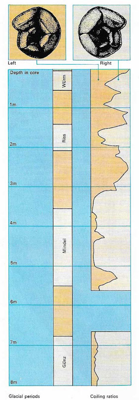 Globorotalia_ ce age record